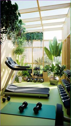 an indoor gym with exercise equipment and plants