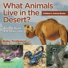 Ecosystems Activities, Desert Ecosystem, Literature Books, Animal Books