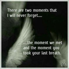 there are two moments that i will never forget the moment we met and the moment you took your last breath