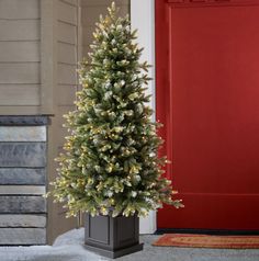 a potted christmas tree in front of a red door