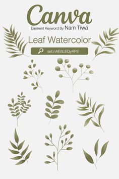 an image of leaves and plants with the text canva leaf watercolor