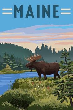 a moose standing on top of a lush green field next to a lake and forest