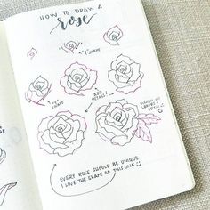 an open notebook with instructions for how to draw roses on it and the words how to draw