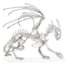 Dragon Skeleton Folklore Art, Oc Stuff, Dragon Images, Sketch Tattoo Design