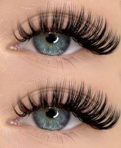 #eyelashes #eyelashestips #eyelashextensionstips #hybridlashes #volumelashes #classiceyelashes #eyelashextensionstips #eyes Eye Lash Style, False Eyelash Remover, Eyelash Curler Refill, Eye Makeup Images, Eyelash Enhancer, Wet Set