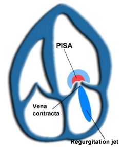 an image of a diagram of the inside of a pea egg with vena, contracta and reguitation