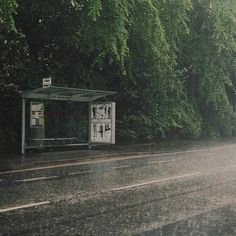 a bus stop sitting on the side of a wet road next to a lush green forest