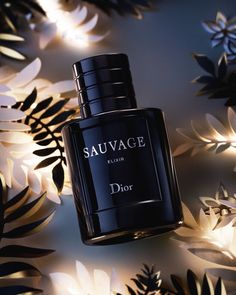 Dior Elixir, Winter Cologne, Dior Atelier, Best Mens Cologne, Secret Room