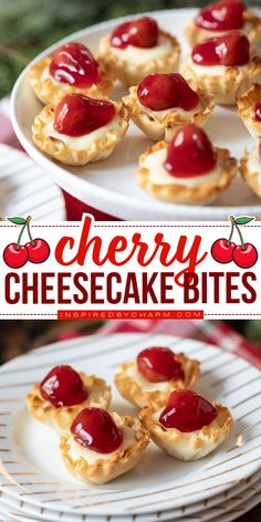 Looking for a dessert that’s easy to make but feels fancy? These Cherry Cheesecake Bites are it! With a creamy cheesecake filling, a crispy phyllo shell, and a sweet cherry topping, each bite offers a perfect mix of textures and flavors. They’re simple to assemble, and they make an impressive treat for any occasion or celebration. Cherry Cheescake, Easy Cherry Cheesecake, Cherry Cheesecake Bites, Lemon Curd Tartlets, Quick Cheesecake, Cheesecake Bites Recipe, Cherry Topping, Sweet Buffet, Easy No Bake Cheesecake