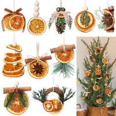 an assortment of orange slices hanging from christmas tree ornaments with pine cones and cinnamons