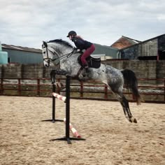 a woman riding on the back of a horse jumping over an obstacle in an arena