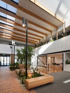 the inside of a large building with plants and benches on the ground in front of it