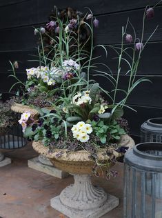 some white and purple flowers are in a planter