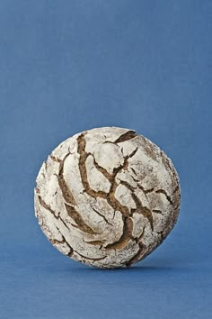 a white and brown object sitting on top of a blue surface