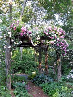 an instagram page with flowers on the arbor and in the background, there is a garden