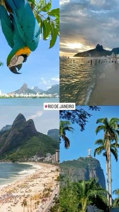 four different pictures of the same beach with mountains in the background and palm trees on the other side