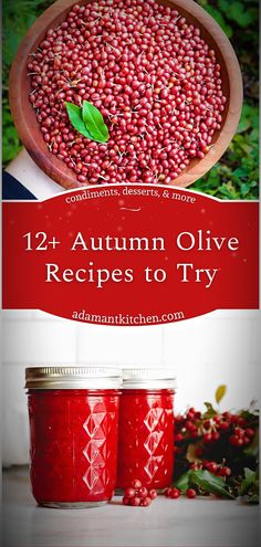 two jars filled with cranberry sauce and the words, 21 autumn olive recipes to try