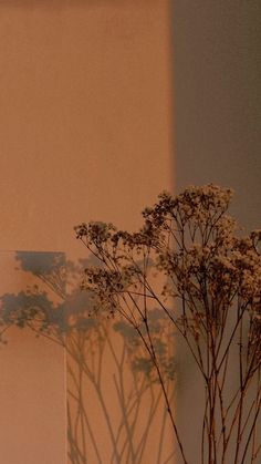 a vase with some flowers in it next to a wall and a window sill