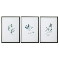 three framed pictures with leaves on them