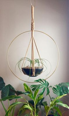 a hanging planter with plants in it