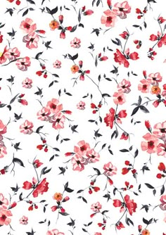 a white background with red flowers and leaves