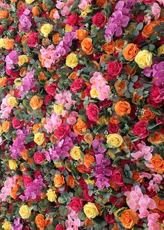 many different colored flowers growing on the side of a building