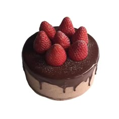 a chocolate cake with strawberries on top