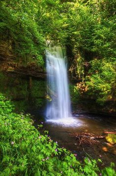 a small waterfall in the middle of a forest with lots of greenery around it