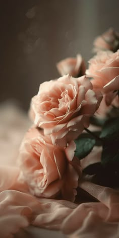 some pink flowers are laying on a bed sheet and the background is blurry with light