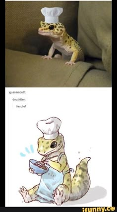 an animal with a chef's hat sitting on top of a couch next to another lizard