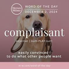 a dog with a leash on its neck and the words complaisant above it