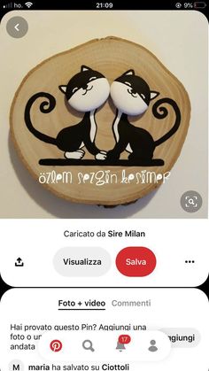 two cats sitting on top of a wooden plaque with the words catato da siere milli