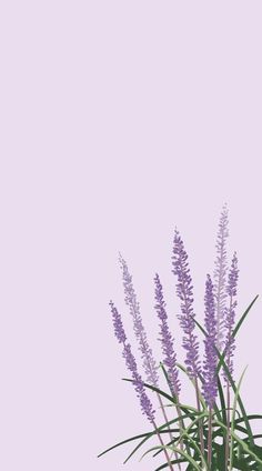 purple flowers against a pastel pink background