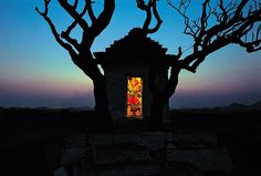 a tree with no leaves in front of a small building at dusk or dawn time