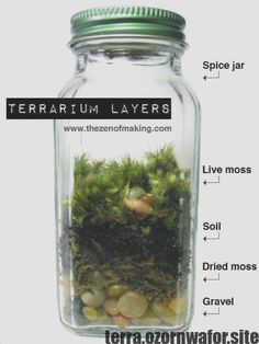 a jar filled with moss and rocks labeled in the words terrarium layer's