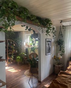 a living room filled with lots of plants and furniture