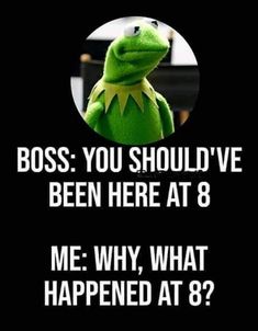 kermie the frog saying boss you should've been here at 8 me why, what happened that?