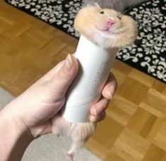 a person holding a small hamster in their hand with a tube attached to it's head