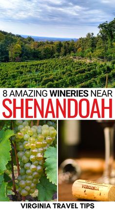 wineries near shenandaoah, virginia travel tips