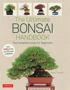 the ultimate bonsai guide for beginners by yukio hirose,