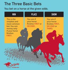 the three basic bet's for horse racing are shown in red, blue and yellow