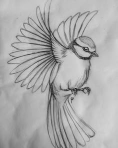 a drawing of a bird flying in the air