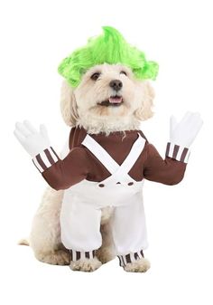 a dog wearing a costume with green hair and white gloves on it's legs