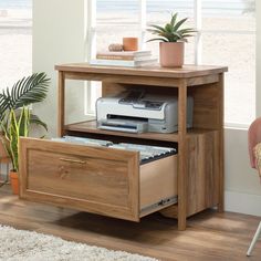 an open drawer with a printer on top and a potted plant next to it