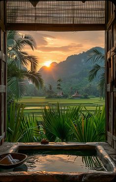 an outdoor hot tub in the middle of a lush green field with palm trees at sunset