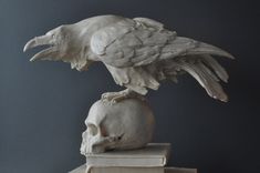 a statue of a bird sitting on top of a skull