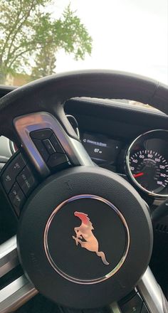 the steering wheel and dashboard of a car with an image of a kangaroo on it