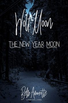 How to use the Energy of the moon in January. The January Wolf Moon is a time to explore within and reflect on the past year. Learn more about the Wolf Moon, its meaning and how to tap into this energy + Moon Activities we can try throughout the month! #lunar #moon #lunargirl #lunargirlliving #fullmoon #luna #moon January Full Moon Ritual, Wolf Full Moon Ritual, Wolf Moon Meaning, Wolf Moon Art, Full Moon Spells