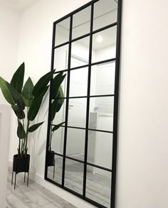 a large mirror sitting on the side of a wall next to a potted plant