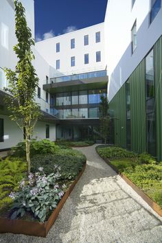 the walkway is lined with plants and trees in front of an office building that has glass windows